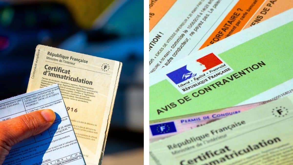 automobilistes ce détail sur la carte grise que tout le monde oublie peut coûter très cher en amende