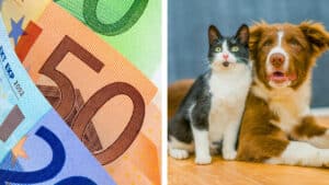 la vraie taxe sur les animaux